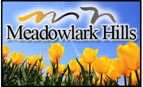 Meadowlark Hills